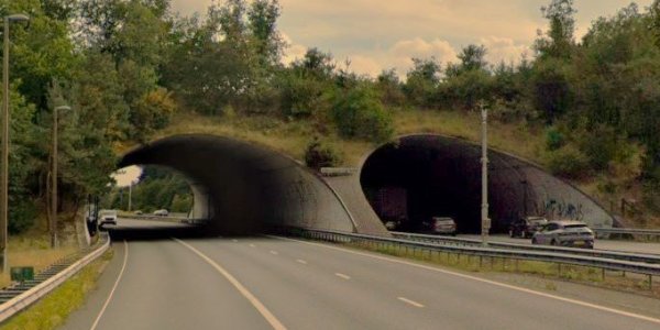 Foto: Onderhoud aan ecoduct Woeste Hoeve